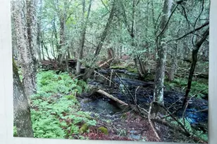 510 Milo Rd, Dover Foxcroft, ME 04426 - Photo 30