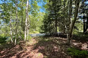 10 Dresner St, Eastport, ME 04631 - Photo 32
