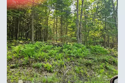 Lot 2-B Rips Road, Brownville, ME 04414 - Photo 2