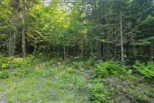 Lot 2-B Rips Rd, Brownville, ME 04414 - Photo 1