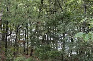 27 Lakeview Dr, Bristol, ME 04539 - Photo 12