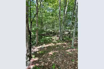 0 Poor Farm Road, Lyman, ME 04002 - Photo 4
