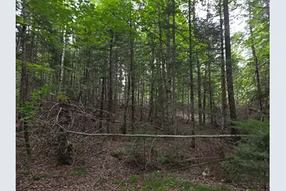 M7 Lot 1 Old Winn Road, Springfield, ME 04487 - Photo 4