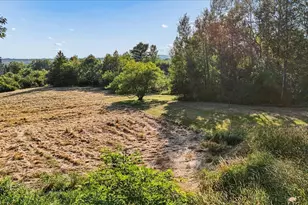 919 Southern Bay Rd, Penobscot, ME 04476 - Photo 100
