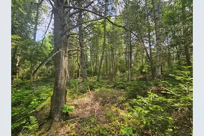 P/O 2016 Hudson Road, Hudson, ME 04449 - Photo 20