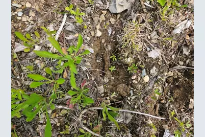P/O 2016 Hudson Road, Hudson, ME 04449 - Photo 12