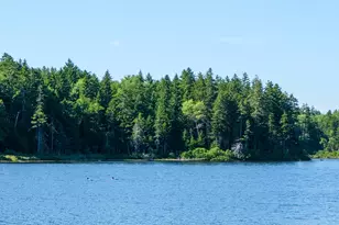 626 Aroostook Scenic Hwy, Moro Plantation, ME 04780 - Photo 100