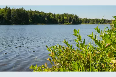 626 Aroostook Scenic Highway, Moro Plantation, ME 04780 - Photo 102