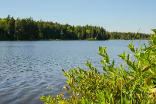 626 Aroostook Scenic Hwy, Moro Plantation, ME 04780 - Photo 102