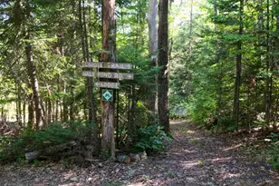 626 Aroostook Scenic Hwy, Moro Plantation, ME 04780 - Photo 100