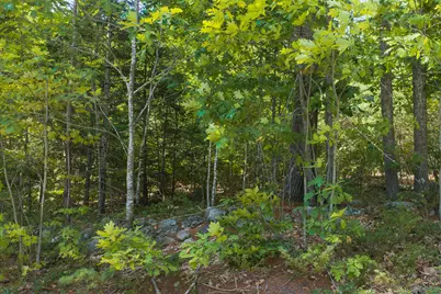 Lot 1 Bell Hill Road, Otisfield, ME 04270 - Photo 4