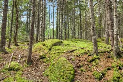 M4L18,18-2 Merchant Point Road, Deer Isle, ME 04627 - Photo 22