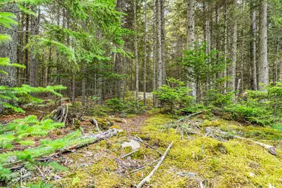 M4L18,18-2 Merchant Point Road, Deer Isle, ME 04627 - Photo 36