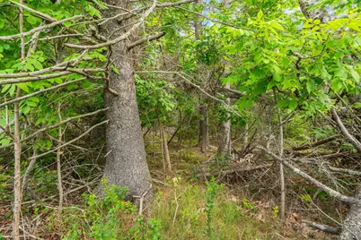 M4L18,18-2 Merchant Point Road, Deer Isle, ME 04627 - Photo 40
