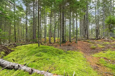 M4L18,18-2 Merchant Point Road, Deer Isle, ME 04627 - Photo 18