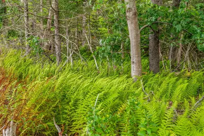 M4L18,18-2 Merchant Point Road, Deer Isle, ME 04627 - Photo 34