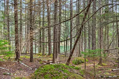 M4L18,18-2 Merchant Point Road, Deer Isle, ME 04627 - Photo 24