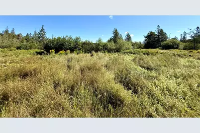 736 Leighton Point Road, Pembroke, ME 04666 - Photo 24