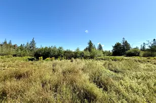 736 Leighton Point Rd, Pembroke, ME 04666 - Photo 24