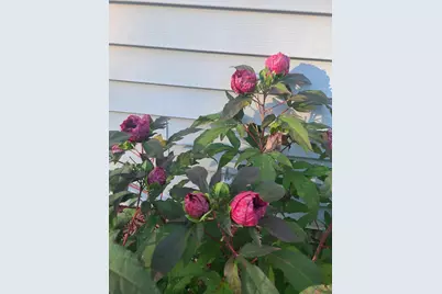 23 Robin Court, Skowhegan, ME 04976 - Photo 56