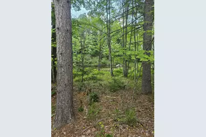 Lot12 River Road #Lot 12, Sumner, ME 04292 - Photo 12