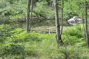 Lot12 River Rd, Sumner, ME 04292 - Photo 1