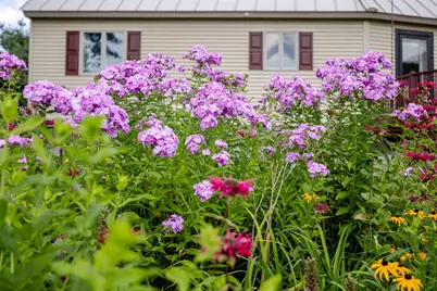 473 Sandy River Road, Starks, ME 04911 - Photo 70