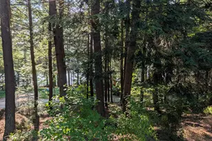 125 Mace Rd, Litchfield, ME 04350 - Photo 38