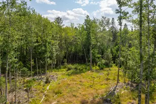 227 South St, Blue Hill, ME 04614 - Photo 56