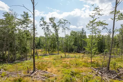 227 South Street, Blue Hill, ME 04614 - Photo 54
