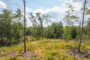 227 South St, Blue Hill, ME 04614 - Photo 54
