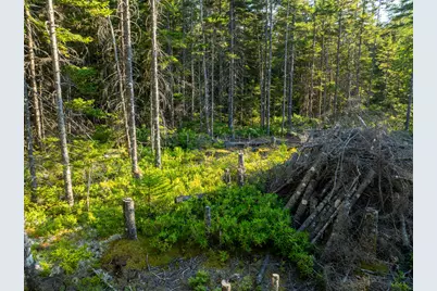0 Duck Cove Road, Roque Bluffs, ME 04654 - Photo 18