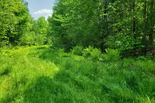 39 Mountain Vw Ln, Dover Foxcroft, ME 04426 - Photo 74
