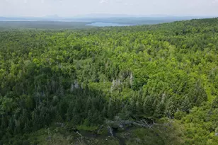 39 Mountain Vw Ln, Dover Foxcroft, ME 04426 - Photo 86