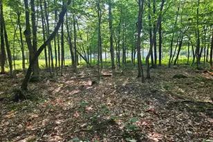 39 Mountain Vw Ln, Dover Foxcroft, ME 04426 - Photo 80