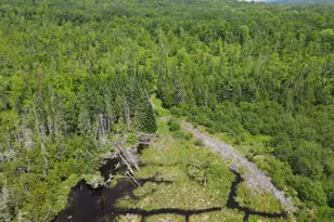 39 Mountain Vw Ln, Dover Foxcroft, ME 04426 - Photo 84