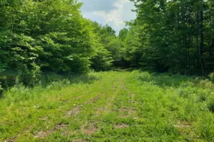 39 Mountain Vw Ln, Dover Foxcroft, ME 04426 - Photo 78