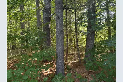 01 Baldwin Road W, Standish, ME 04084 - Photo 10