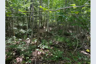 M6L18-13 N Palermo Road, Freedom, ME 04941 - Photo 10