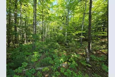 M2 L45-04 Lowell Road, Enfield, ME 04493 - Photo 2