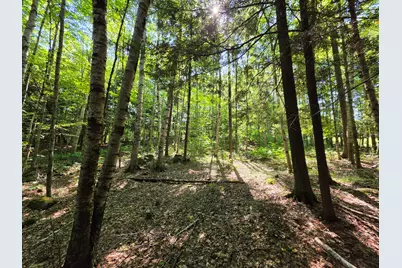 M2 L45-04 Lowell Road, Enfield, ME 04493 - Photo 10