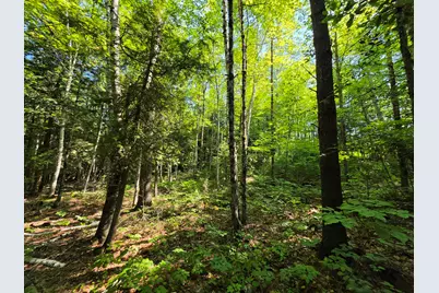 M2 L45-04 Lowell Road, Enfield, ME 04493 - Photo 8