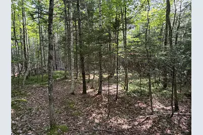 Lot 6 Holley Road, Farmington, ME 04938 - Photo 8