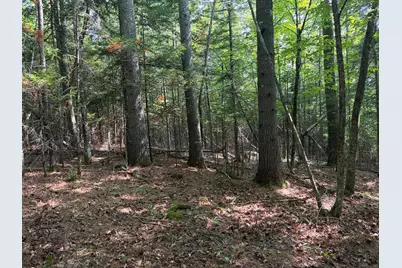 Lot 6 Holley Road, Farmington, ME 04938 - Photo 6