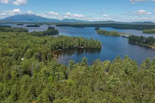 12 Frenchman's Cv Ln, Millinocket, ME 04462 - Photo 4