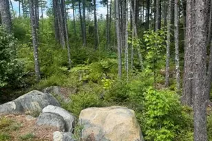 1277 Troutdale Rd, Bald Mountain Twp T2 R3, ME 04985 - Photo 26
