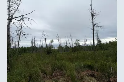 684 Lower Detroit Road, Plymouth, ME 04969 - Photo 6