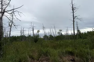 684 Lower Detroit Rd, Plymouth, ME 04969 - Photo 6
