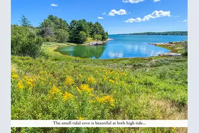 195 Ficketts Point Road, Milbridge, ME 04658 - Photo 10