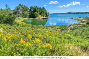 195 Ficketts Point Rd, Milbridge, ME 04658 - Photo 10
